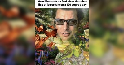 The Best Heartwarmingly Wholesome Memes and Posts of the Week