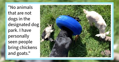 20 Unofficial Dog Park Policies Put in Place by Pawrents to Protect Your Puppers