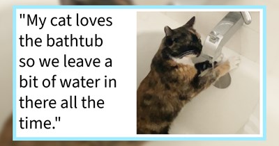 15 Creative Ways to Trick Your Choosy Cat Child into Drinking More Water