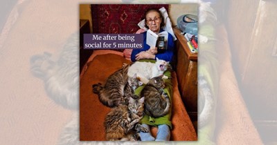 A Vacation of 27 Feline Funnies for Cat People Keeping Their Summer Plans Hooman-Free