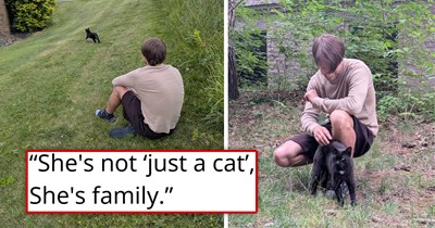 Couple who've cared for a feral cat for 7 years buy a new home are devastated when she is too scared to move with them, but they know she needs them, so they don't give up and manage to catch her just in time 