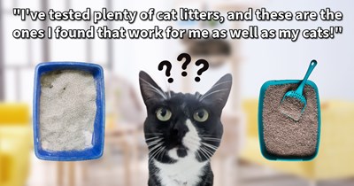 To Clump or Not to Clump?: 15 Kinds of Kitty Litter Championed by Cat Pawrents