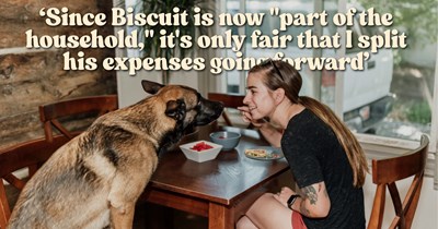 'We'll talk when you're less selfish about this': Roommate adopts 70-pound dog while her housemate is on a work trip, then demands he pay for the new pupper or move out after coming home