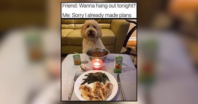 30 Wholesome Woofers for a Happier Day