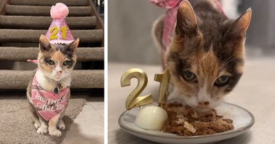 '21 years ago I rescued an abandoned kitten. Today she turned 21': Heartfelt woman reflects on her favorite memories with her best friend, a reminder not to take our furry friends for granted
