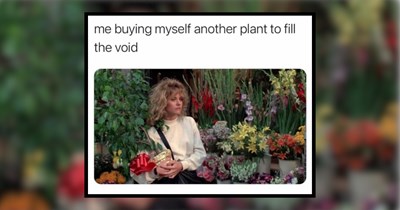 'It just needs more water': 25 Memes for all the plant parents struggling to keep their children afloat