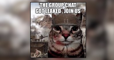 Hissterical Cat Memes Capturing the Chaos of Every Friend Group Chat