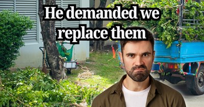 Homeowner refuses to replace bushes cut on her own property or pay for a fence after her neighbor blames it for unrelated problems months later: ‘His insurance won’t let him keep his dirt bikes in the garage anymore’