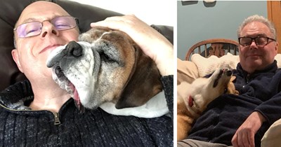 21 Pawsonal Space Invading Doggos for Hoomans Who Need a Heartwarming Hug