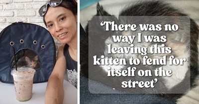 ‘The universe gave me this kind of responsibility’: Tricolor kitten rescued by dog lover just days after family loss, then becomes the little terror named Toffee who brings joy back into her pawrent's life 