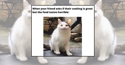 21 Cooking Fails for Optimistic Home Chefs Learning to Trust the Process (July 8th, 2026)