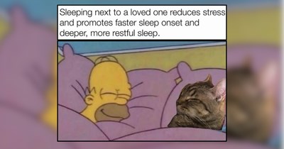 Furrever Funny Felines Enjoying Friday Night Freedom