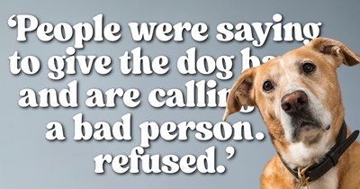 Dog rescuer spends weeks caring for a lost pup after vague “owner’s neighbor” claims ownership, then faces the old family at the dog park months later