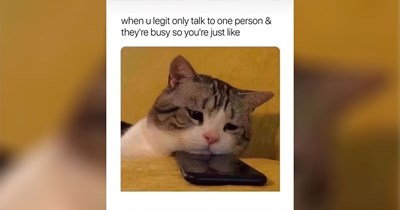 27 Memes Just Having a Day