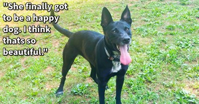 Reactive dog rescued from neglect and overcrowded shelter learns to overcome fear of water thanks to dedicated dog dad’s unconditional love and patience, says: ‘You couldn’t hug her. But now I am holding her in my arms after swimming.’