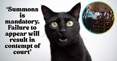 ‘He has paws’: Cat gets summoned for jury duty after a county data error, owner spends 6 weeks proving he’s a cat before bringing him to court