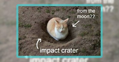 27 Feline Funnies For Crazy Cat People in a Need of Wholesome Whimsy