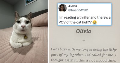 30 of the Funniest and Freshest Feline Tweets to Fill Your Week With Pawsitivity (July 13, 2026)