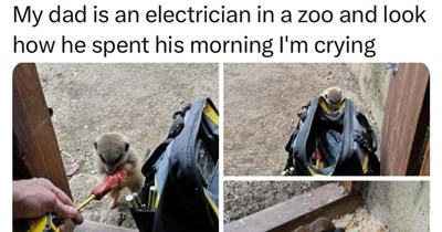 29 Heartwarming Animal Memes to Warm Your Soul When it’s Frozen from AC
