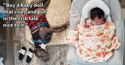 15 Wholesome Ways to Prepare your Pup for the Arrival of Your Hooman Baby