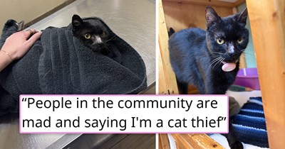 After spending 7 years as a declawed and sick "community cat" outside, one human finally takes a risk and brings the feline home, only for the cat to constantly purr and never try to escape, proving that she needed a home all along