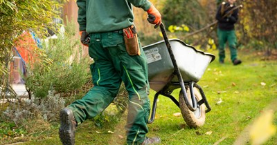 Homeowner gets upset at next-door landscaper who decided to trespass on his house because no one was answering the door: 'I want to have words with him over this [but also] stay in their good graces'