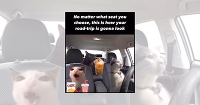 'Are we there yet?': 23 Road trip memes fueling summer vacation with open highways, snack stops, and passenger-seat adventures with friends and family