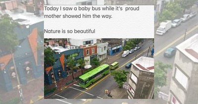 ‘Stand clear of the closing doors’: memes for all the people who are tired of public transportation 