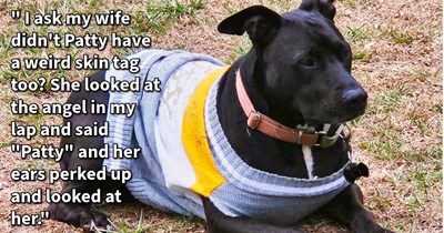 In heartwarming twist of fate couple accidentally adopted ex-roommate’s neglected dog who they loved, several years after roommate moved out, says: ‘My wife calls Patty over by name and holds her while crying and said "I was so worried about you".’