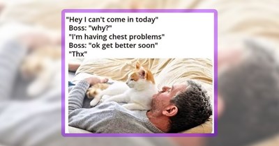26 Wholesome Whiskered Pawsts for Cat People in Their Prime