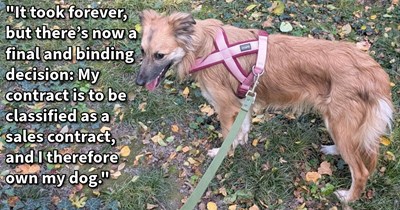 ‘They said that it would be animal cruelty’: Dog shelter demands adopted dog’s return after dog mom pays for medical treatments that helped pup walk again, and after years of court battles she finally won official ownership of her dog