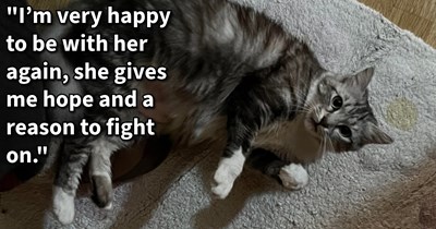 Senior cat and daughter who were thrown to street by same family find each other thanks to kind hooman who found and cared for the dumped feline, resulting in heartwarming reunion: ‘I’m just happy my baby is here and I’m taking good care of her’ 
