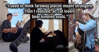 ‘All cat lovers bear kindred souls’: Chinese man traveling everywhere with his pet cat shows the world that human kindness and connection is just a feline away