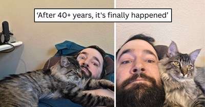 After months of visiting the same house, this stray kitten finally convinced one family to take him home