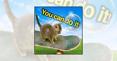 ‘You’ve Got This, Hooman’: 21 Motivational Animal Memes Featuring Determined Dogs, Confident Cats, and Tiny Creatures With Big Goals