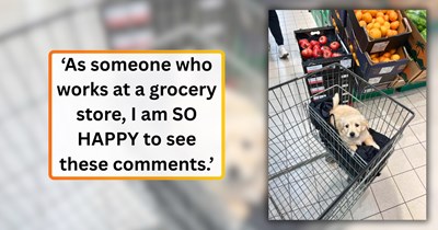 'I love dogs. I HATE seeing them in my store': A photo of a puppy riding in a grocery cart sparks a comment section debate over pet etiquette in public spaces