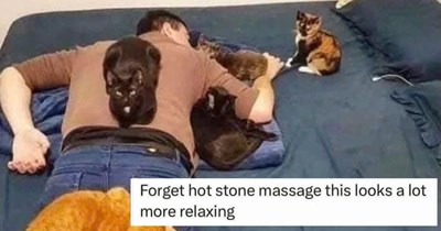 30 Meowlarious Cat Memes fur a Flufftastic Finish to Your Work Week