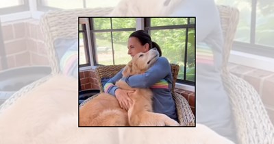 21 Affectionate Dogs Wrapping Their Paws Around Their Humans for the Warmest Hugs on the Internet