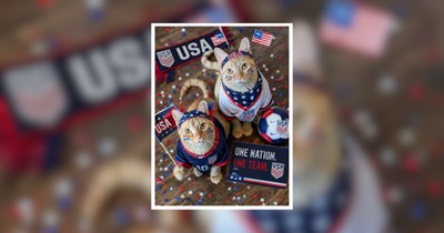 22 World Cup Cats Wearing Their Country's Jersey Better Than Their Hooman Owners