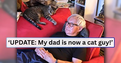 Older couple keeps two stray cats as outdoor companions for years, too heartbroken over their late dog to invite them in; but another unexpected loss convinces them to make the cats part of their family