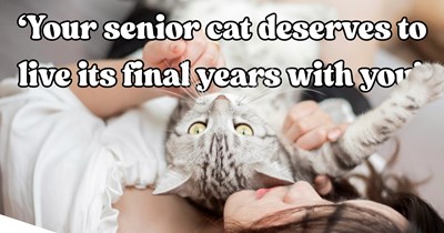 'Cats are a dealbreaker for him': 30-year-old cat mom refuses to give up her 20-year-old senior cat in order to move in with her "allergic" younger boyfriend