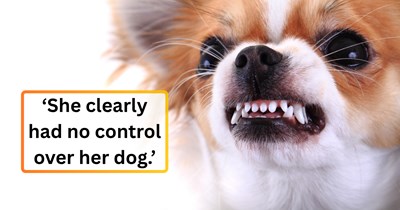 'People who think they can control dogs with their minds are the worst': Neighbor lets her unleashed dog run loose in the lobby, then screams at a woman for opening the door when the dog escapes