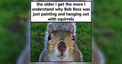 22 Adorable Farm Animals for a Softer Scroll Session