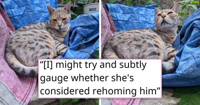 Ex leaves his bengal cat behind after breakup, but his girlfriend has no interest in cats and starts neglecting him, so the cat decides to check out whether neighbor's home is a better one, and the neighbor is happy to help: 'My porch door is open'