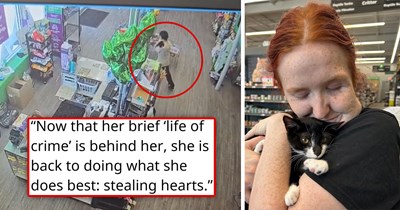 Man who stole a kitten and used her as an accomplice in a bank robbery, forcing staff to hold her while he demanded money, gets caught, and the felonious feline is back to the shelter, safe and looking for a forever home