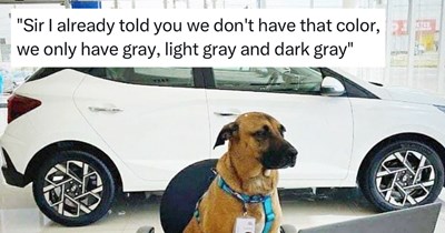 27 Heartwarming Animal Memes to Warm Your Soul When it’s Frozen from AC (July 27, 2026)