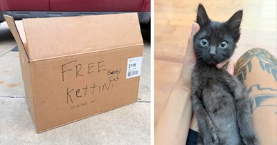 'Free kettin/babby cat': Down on his luck cat dad begs gas station customers to give his kitten a better life, until one kind soul  makes his "babby" hers furrever