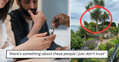 Rhode Island homeowner discovers neighbor has been secretly clearing trees on their property for years to improve the view, then gets confronted after placing tree stumps there: 'They had the audacity to say something'