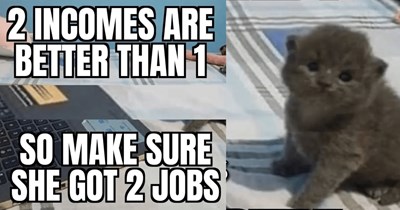 28 Candid Cat Memes from the Oddly Relatable World of Intrusive Feline Thoughts