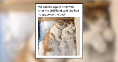 'I meow you in all 9 lives': 24 Couple Memes To Send to your Sweet Lover